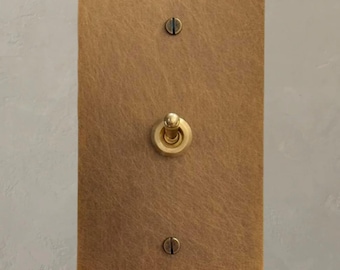 May include: A brass light switch plate with a single toggle switch. The plate has a brushed finish and is mounted on a wall.