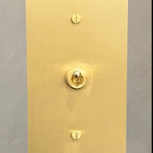 May include: A gold-colored light switch plate with a single toggle switch. The switch is made of brass and has a round knob. The plate has two screws on the top and bottom.