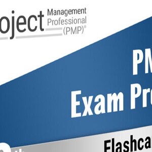 Tarjetas didácticas de preparación para el examen PMP (740 páginas) Descarga digital