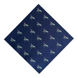 Praying mantis pocket square set with tie & OFL gift box
