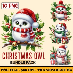 Pacote de clipart de coruja de Natal, coruja de neve em aquarela com chapéu de Papai Noel, sublimação de coruja de inverno fofa PNG, animal festivo, arquivo digital para fazer cartões