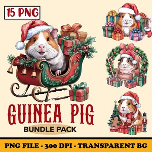 Clipart Noël cochon d'Inde, mignon cochon d'Inde PNG, Hamster Clipart, sublimation de Santa cochon d'Inde Clip Art, fichier numérique de vacances cochons d'Inde