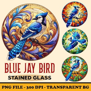 May include: A collection of stained glass designs featuring blue jays. The main image shows a detailed blue jay perched on a branch within a circular frame of swirling, colorful patterns. Additional circular designs showcase the bird in different poses.
