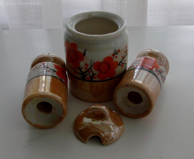 Asian Inspired Tiny Salt and Pepper Shakers and Condiment Server