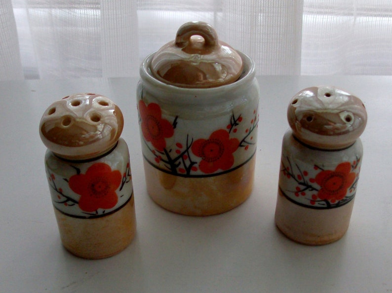 Asian Inspired Tiny Salt and Pepper Shakers and Condiment Server
