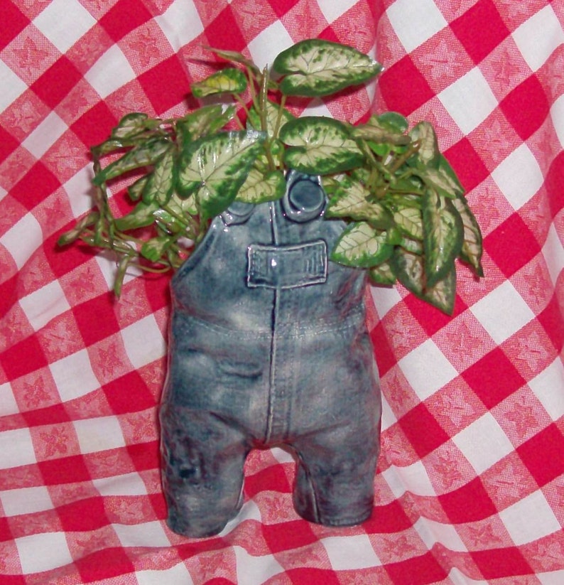 Adorable Overall Jean Planter Etsy