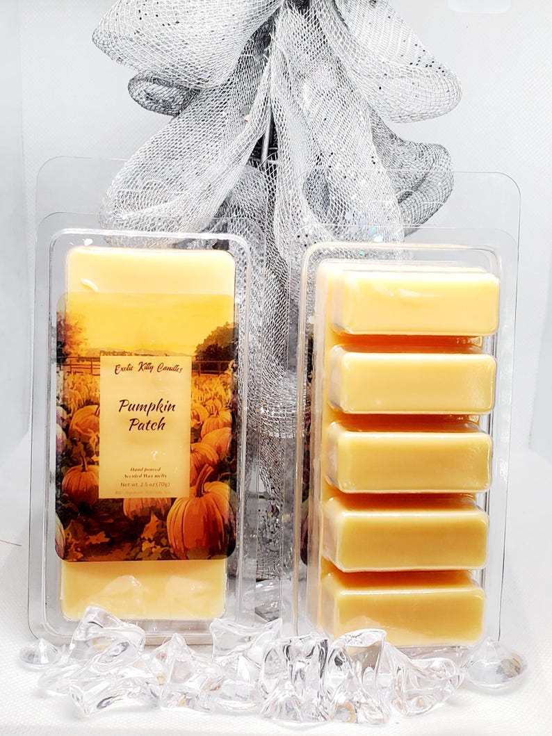 May include: Two clear plastic containers of wax melts. One container has a label with the text "Pumpkin Patch" and a picture of pumpkins. The other container has six rectangular wax melts. A silver ribbon is in the background.