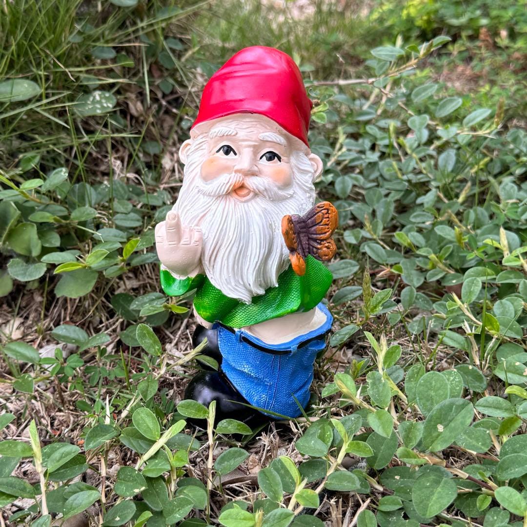 Wizard Middle Finger Garden Gnome Outdoor Statue Figurine,butterfly Middle Finger Gnome for ...