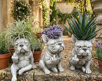Decoración de jardín con perro haciendo el gesto del dedo medio, maceta con bulldog francés gruñón, maceta original para suculentas, regalo adorable para amantes de las mascotas, adorno para patio.