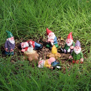 May include: A group of garden gnomes in various poses, some sitting, some lying down, and one standing. The gnomes wear colorful outfits with red, green, purple, and blue hats. A miniature campfire and a tree stump with a mug are also present.