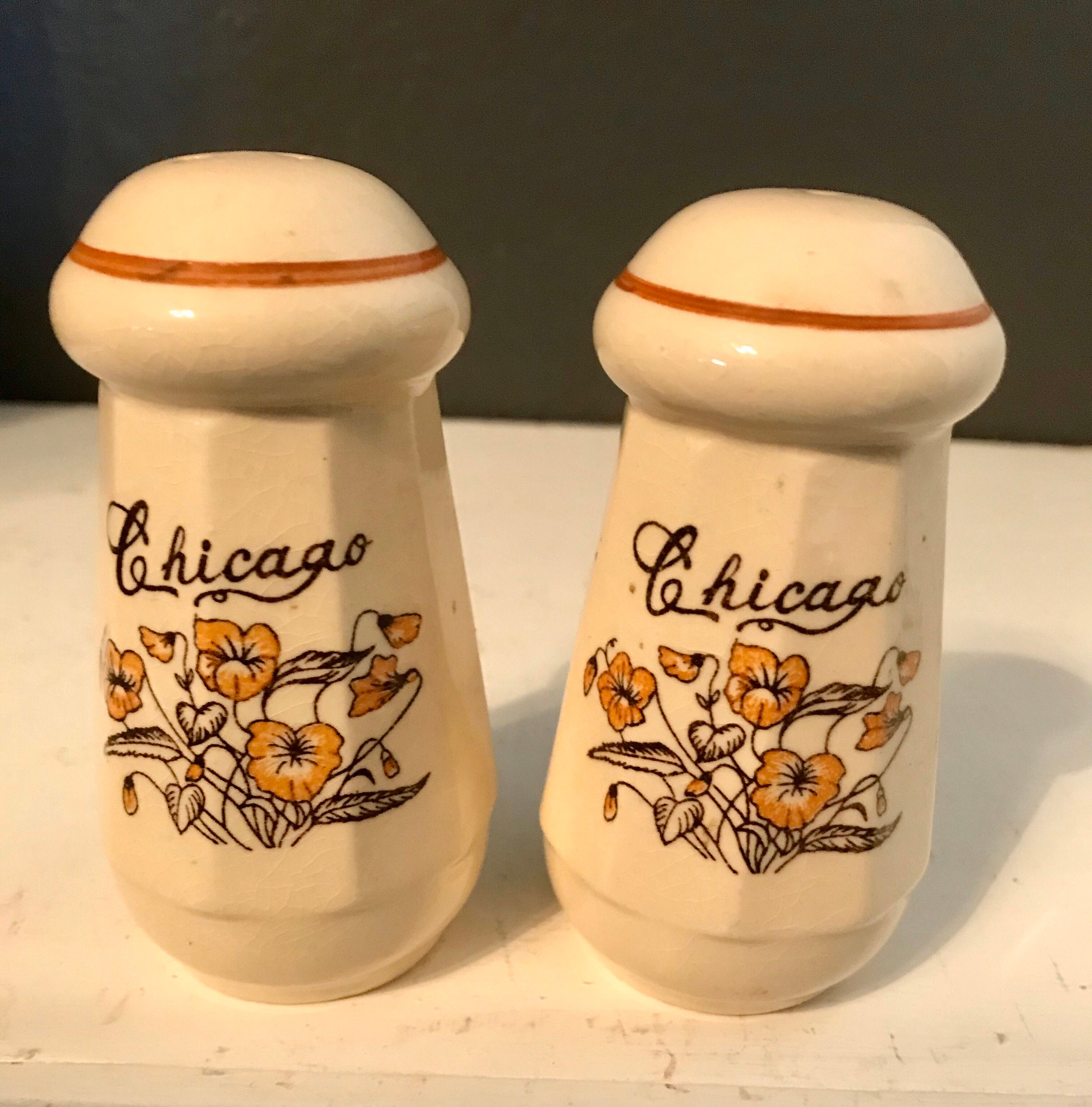 Vintage Souvenir Salt and Pepper Shakers Chicago Souvenir Etsy