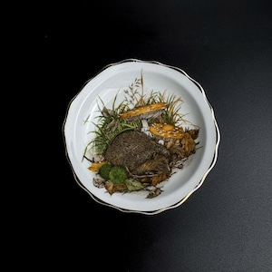 Puede incluir: Un plato de cerámica blanco con borde dorado que presenta una ilustración detallada de un erizo, setas y follaje. El plato tiene un borde festoneado y está sobre un fondo negro.