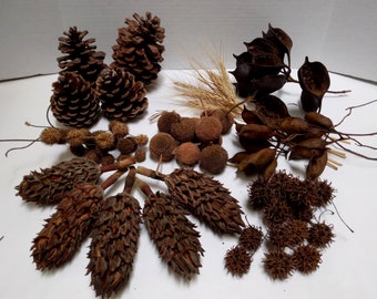 Box of Assorted Natural Dried Decor elements, (Mix B)