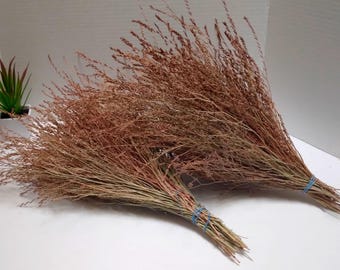 bunch of dried Flower stems , flower arranging supply, craft supply, natural decor, gardening