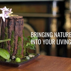 Könnte beinhalten: Dekoratives Tischarrangement mit einem künstlichen Baumstamm, bedeckt mit grünem Moos und kleinen Pflanzen. Das Arrangement enthält eine kleine Orchidee mit hellvioletten Blüten. Der Text "BRINGING NATURE INTO YOUR LIVING SPACE!" ist sichtbar.