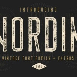 Nordin Family Font, Elegant font, Calligraphy font, Modern Font, Commercial Use, Canva font, Display font, Fancy font, Script font, Font
