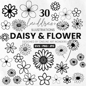 Pacchetto SVG di margherite, SVG di fiori di margherite, Clipart di margherite, SVG di margherite, SVG di fiori, PNG di fiori, File di taglio di margherite, File SVG per Cricut, Design di margherite