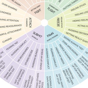 May include: A colorful wheel chart with the words "Fight", "Flight", "Freeze", "Fawn", and "Submit" in the center. The chart is divided into sections, each with a different color and a list of phrases related to emotional responses. The phrases include "Getting angry", "Running away", "Feeling stuck", "People pleasing", and "Giving in".