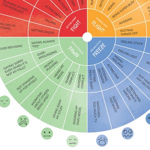 Fight Flight Freeze Fawn, Feelings Wheel, Therapy Office Decor, Trauma ...