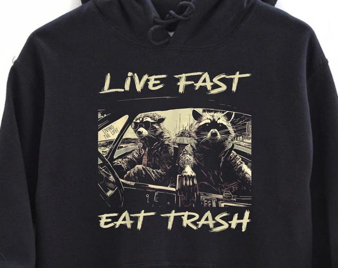 Sunset Raccoon Live Fast Eat Trash And Get Hit By A Car Hoodie, Vintage Funny Raccoon Hoodie, Front and Back