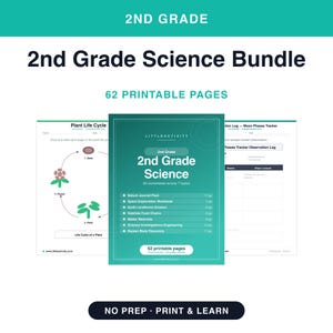 May include: A 2nd Grade Science Bundle featuring 62 printable pages. The central document lists seven topics including Nature Journal, Space Exploration, Earth Landforms, Habitats, Matter, Science Investigations, and Human Body Discovery.