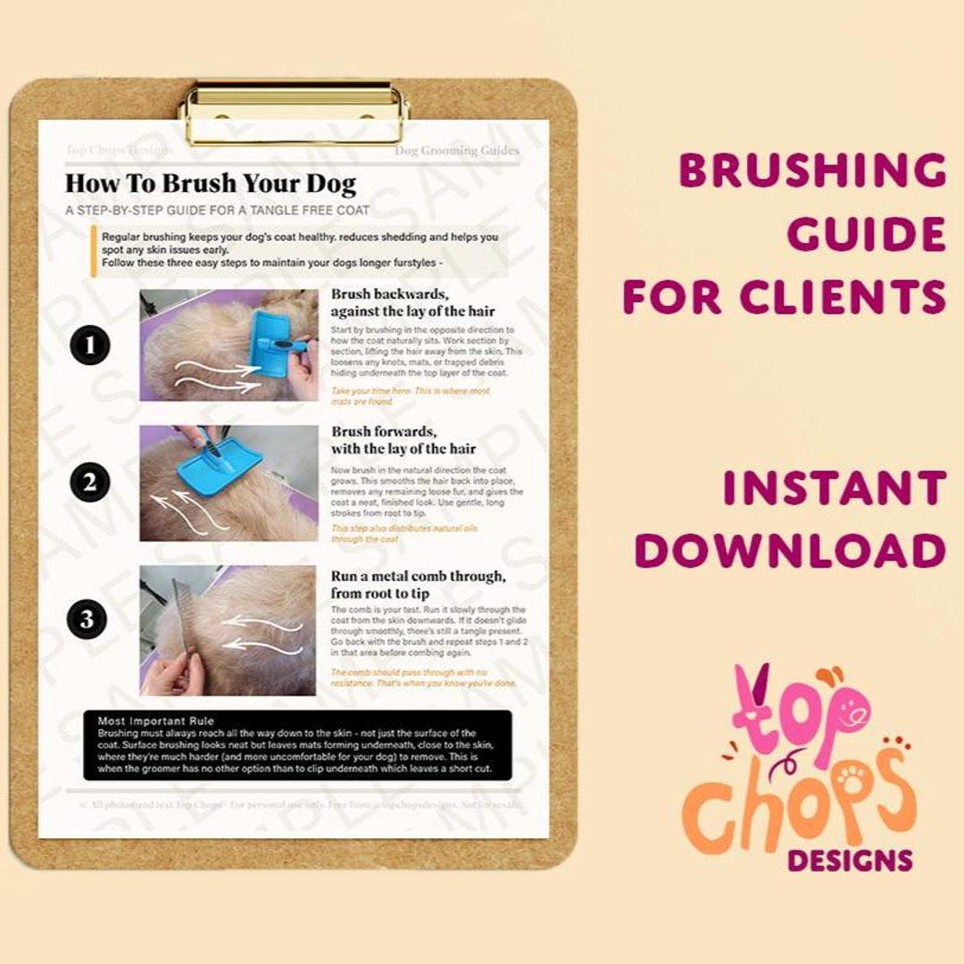 Dog Grooming Brushing Guide for Clients | Coat Maintenance Sheet ...