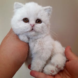 British kittens realistic toy, Stuffed Animal, Plush toy