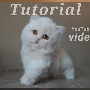 Tutorial video British kitten, Realistic Plush Toy
