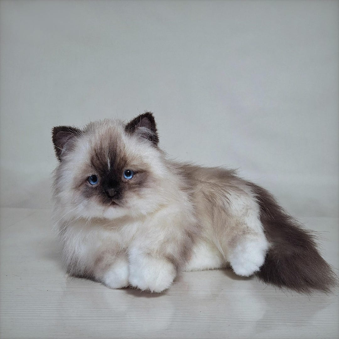 ragdoll-kitten-plush-fluffy-poseable-cat-doll-handmade-with-glass