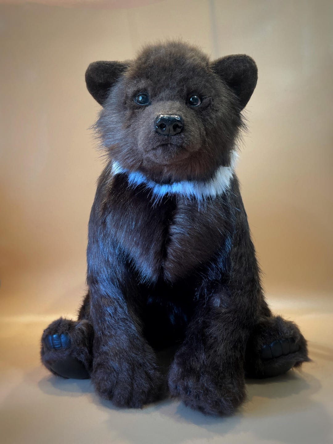 Bear Cub Dogs That Look Like Bears For Sale Grizzly Bear Puppies