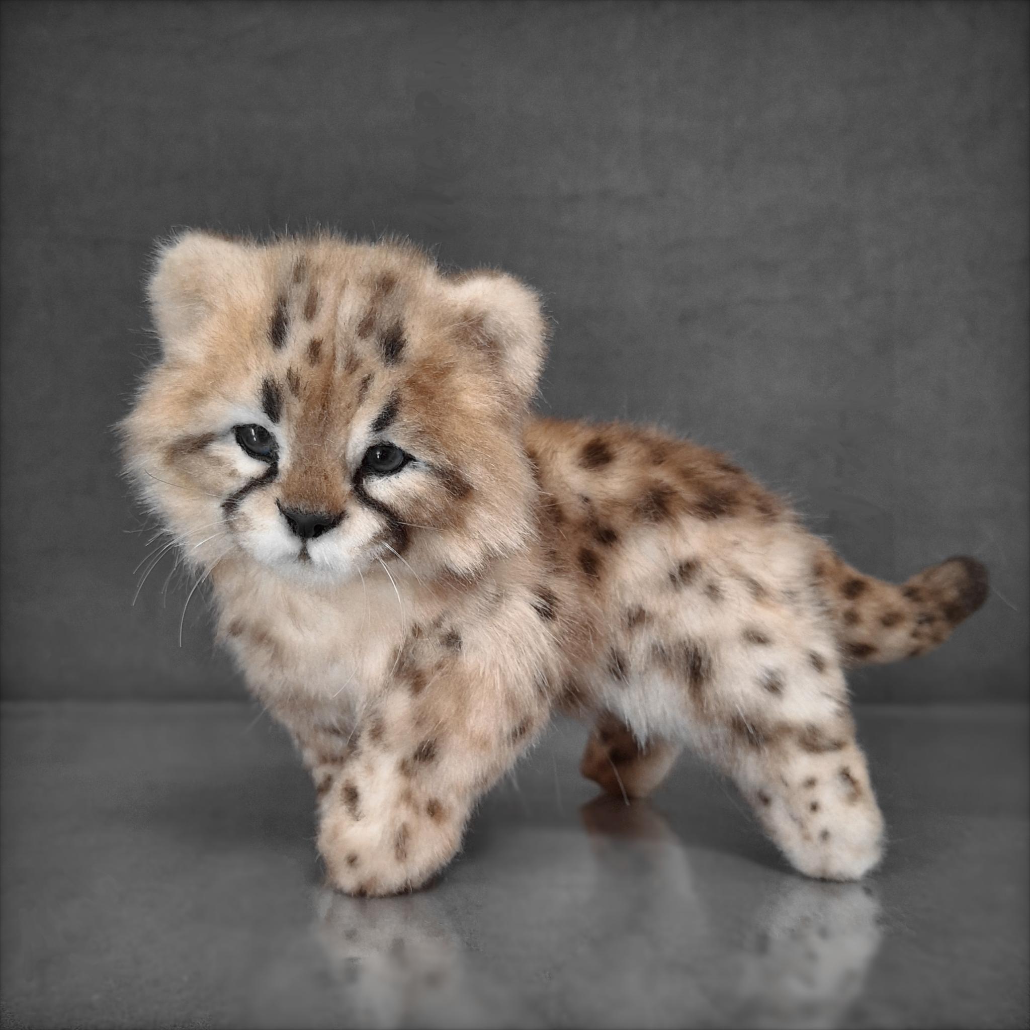 チーター リアルなおもちゃ ぬいぐるみ ぬいぐるみ - Etsy 日本