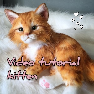 Pattern kitten, tutorial, Realistic Toys, kitten video lessons, Sew a toy.