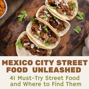 Comida callejera en la Ciudad de México: una guía local / Guías de viaje de México