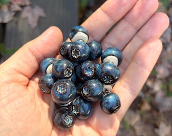 Ceramic Blueberry Magnets
