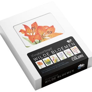 Wenskaartenset Wilde Bloemen - 12 Dubbele wenskaarten met enveloppen - Wenskaarten zonder tekst