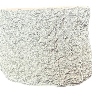 Puede incluir: Primer plano de un tronco de árbol redondo y texturizado de color blanco.