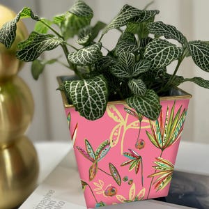Pode incluir: Um vaso quadrado rosa com uma borda dourada, preenchido com uma planta verde com folhas com veias brancas. O vaso é decorado com ilustrações botânicas coloridas de folhas e flores.