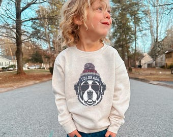 Toddler Colorado Hockey Shirt, Denver shirt, Colorado Hockey Fan shirt, Toddler CO Hockey Sweatshirt HTS240