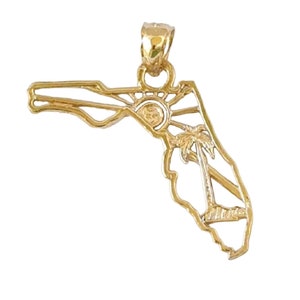 14 kt geelgouden hanger met kaart van de staat Florida