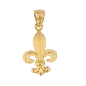 14 kt geelgouden fleur de lis-hanger