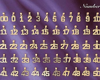 Small 0 to 50 Any One 14K Yellow Gold Number Pendant