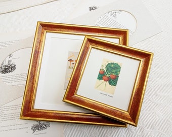 5x5 inch Gold with soft Rose-Red shading Photo Frame/Square format/Instagram/Office/Photo Frame/Anniversary Gifts/Birthday Presents