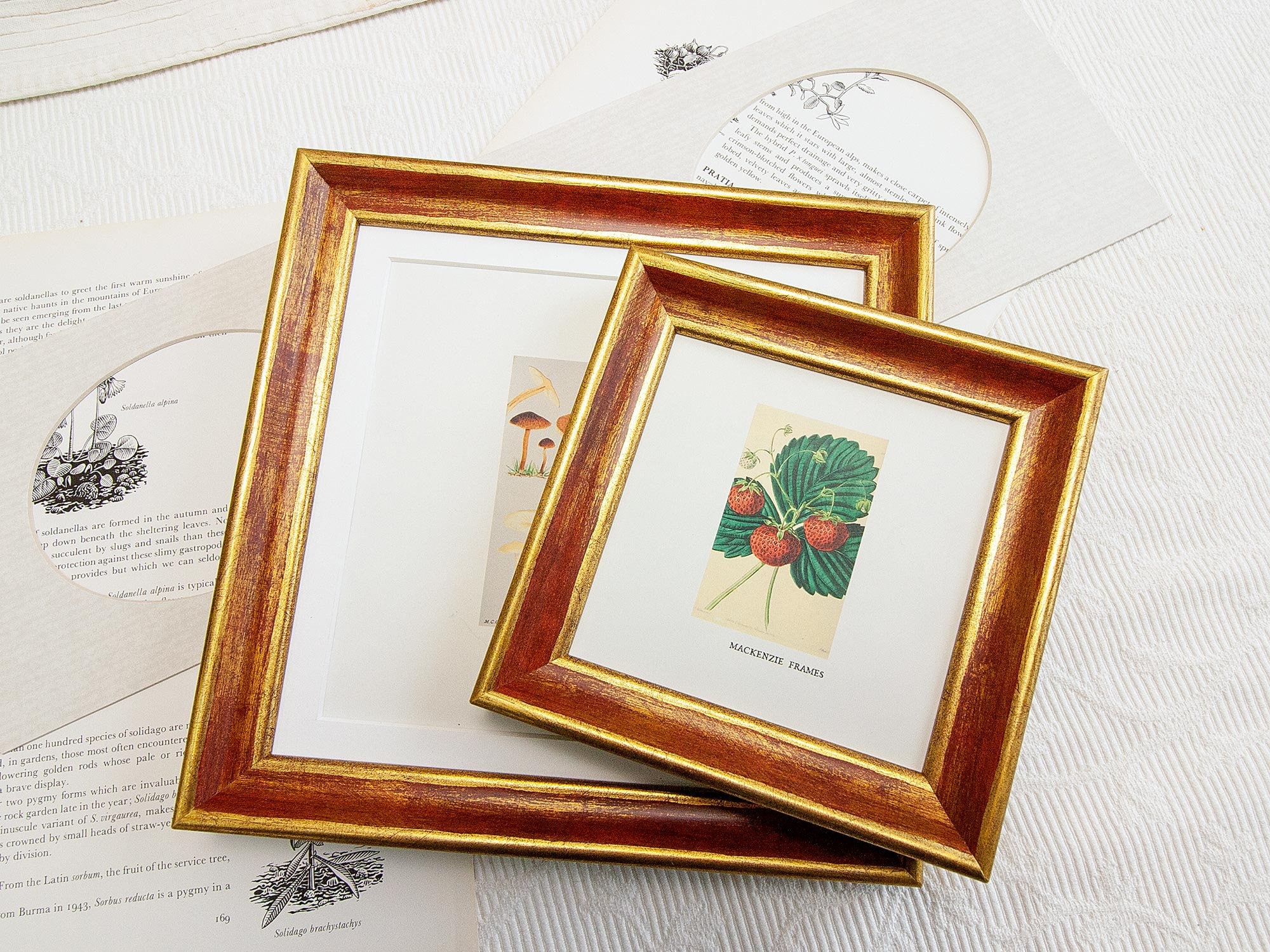 5x5 Pouces Or avec Doux Ombrage Rouge Rose Cadre Photo/Format Carré Instagram Bureau Cadre Cadeaux d