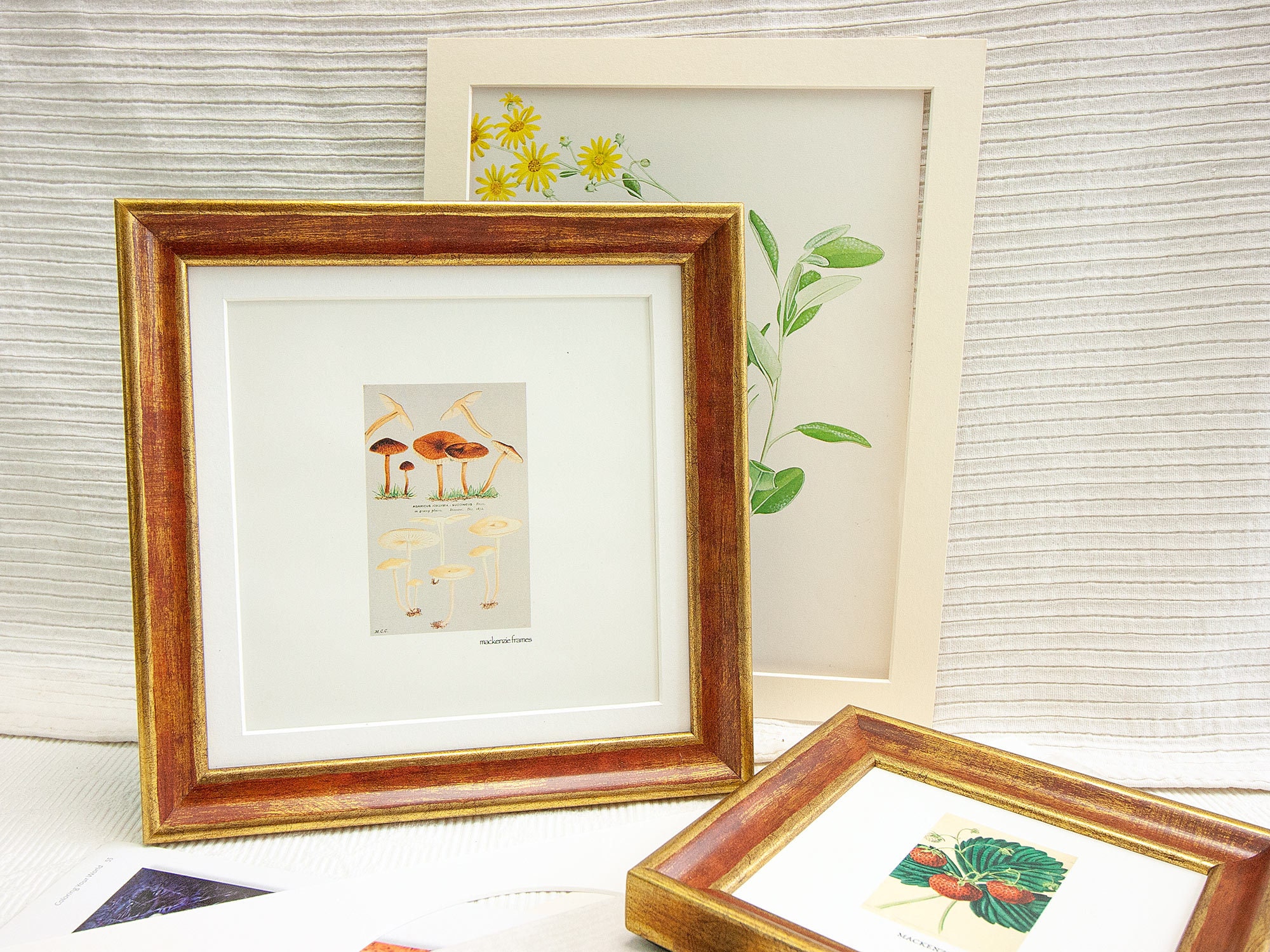 8x8 Pouces Or avec Ombrage Doux Rose-Rouge Cadre Photo/Format Carré Instagram Bureau Cadre Cadeaux d