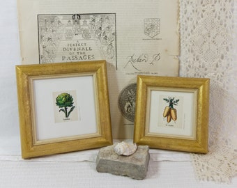 3x3 and 4x4 inch Square Simple Cottage-Style rounded bead profile - Gold with pale ochre inner Photo Frame Deluxe Quality/Instagram