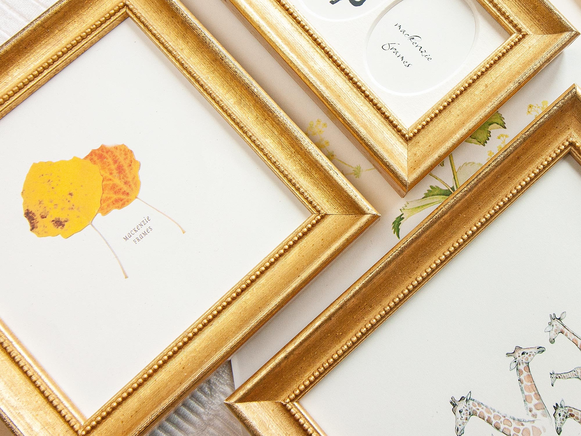 4 x 2024 5 frames
