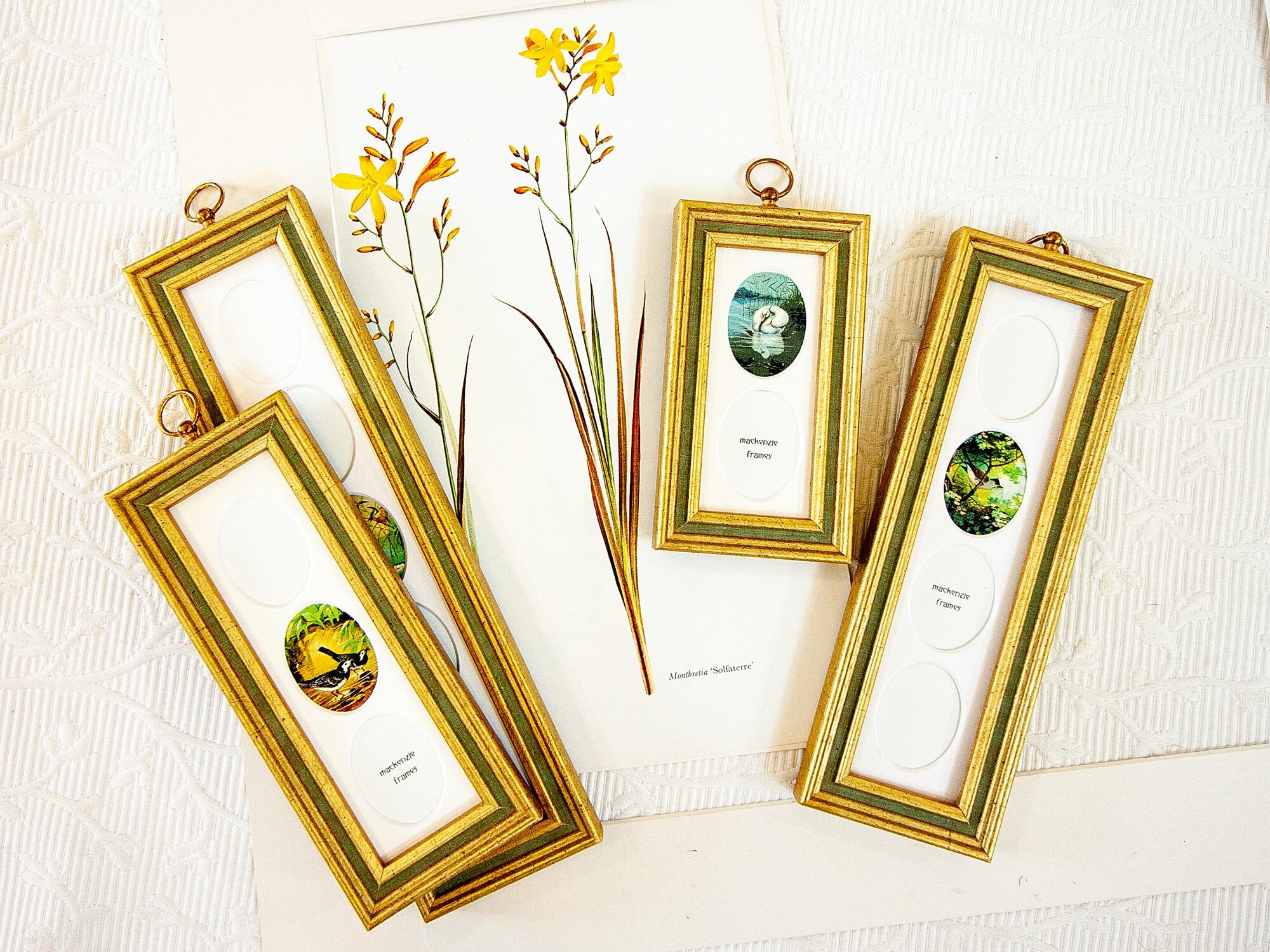 Deux, Trois, Quatre ou Cinq Mini-Ovales-Mat en Or Étroit et Cadre Vert Olive Pour Les Photos de Tail