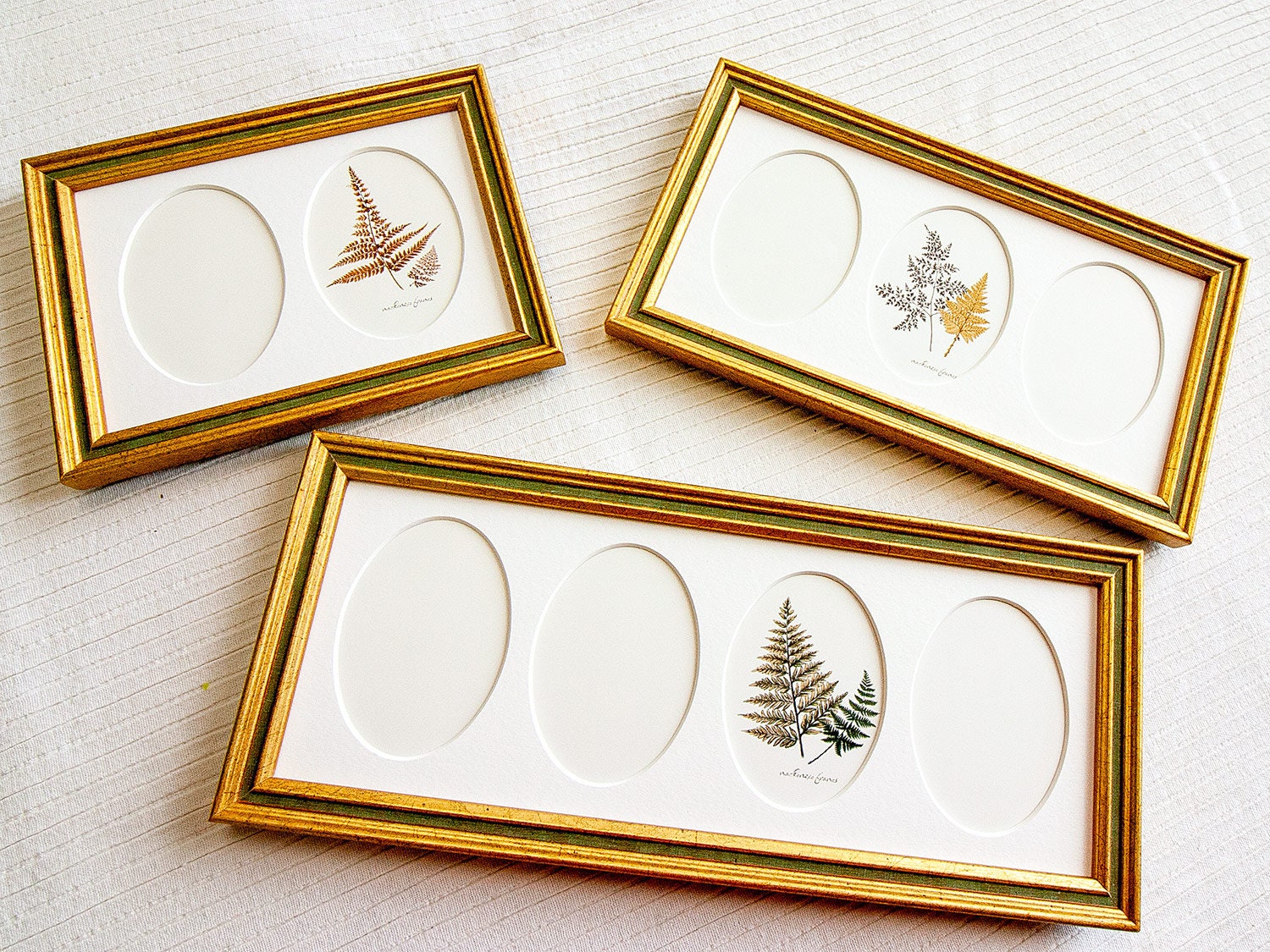 2-Oval 3-Oval Mat ou 4-Oval Option Cadre Photo Étroit Or et Vert Olive Pour Mariage/Photos de Famill