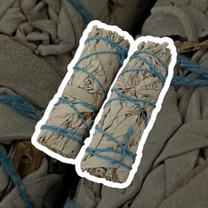 White Sage Smudge Stick