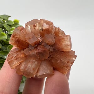 Amazing Aragonite from Morocco ,Aragonite Sputnik, Crystals, Raw Stone Cluster, Mineral, Stones, souvenir gift crystal home decor stone